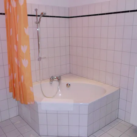 Wilder Mann מלון