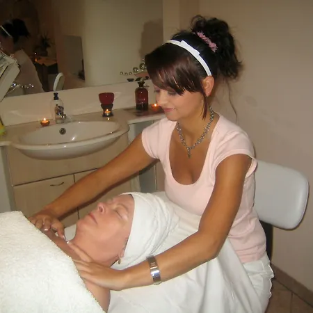 Wilder Mann מלון