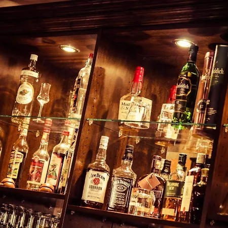 Wilder Mann מלון 4*