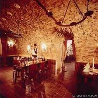 Wilder Mann מלון 4*