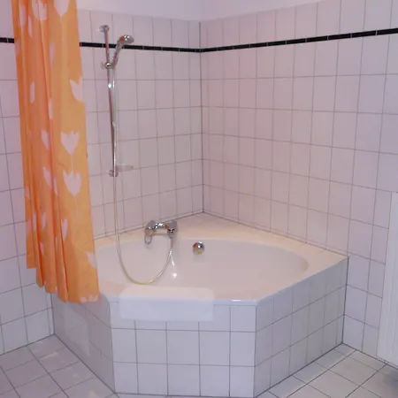 Wilder Mann Hotel 4*